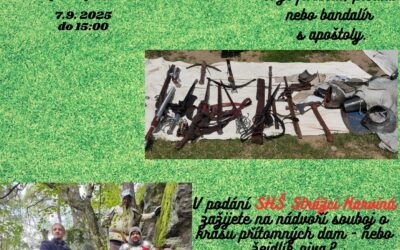 6. 7. 9. Hrad a zámek Dolní Kounice – ZPÁTKY ČASEM A HISTORICKÉ SLAVNOSTI ROSA COELI